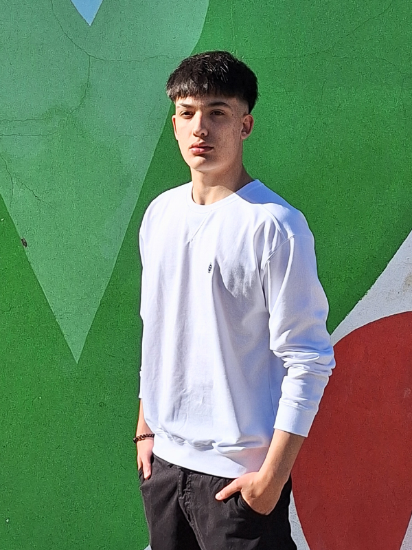 Sudadera Unisex con letras bordadas en la espalda de Urban Button 4085