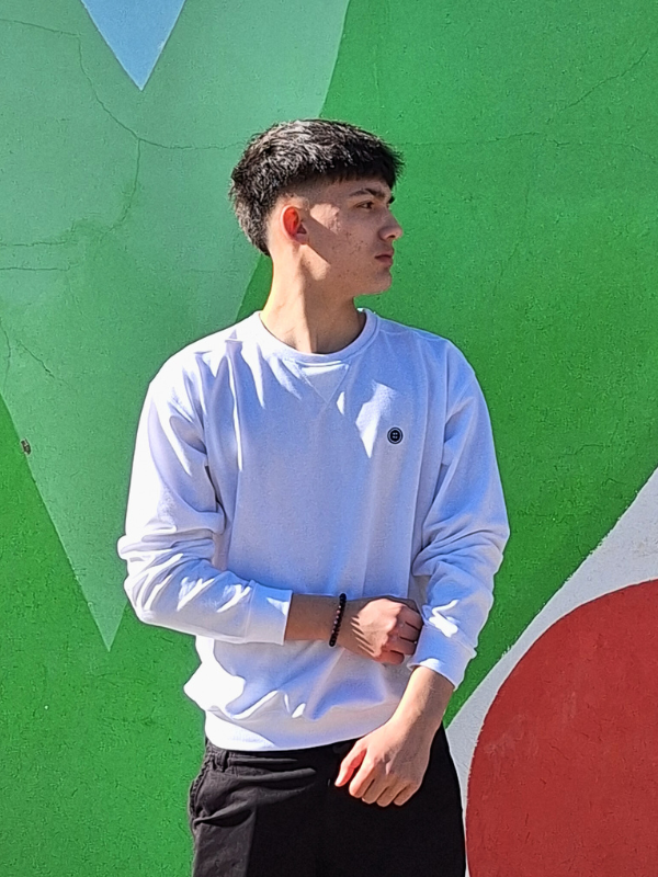 Sudadera Unisex con letras bordadas en la espalda de Urban Button 4085