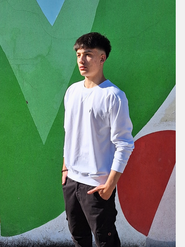 Sudadera Unisex con letras bordadas en la espalda de Urban Button 4085